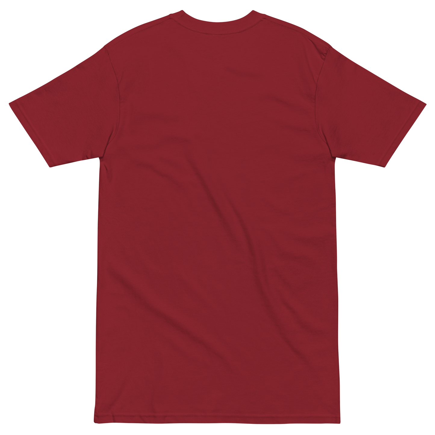 Anatomical Heart T-shirt