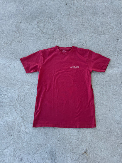 Brick Red Heavyweight T-Shirt